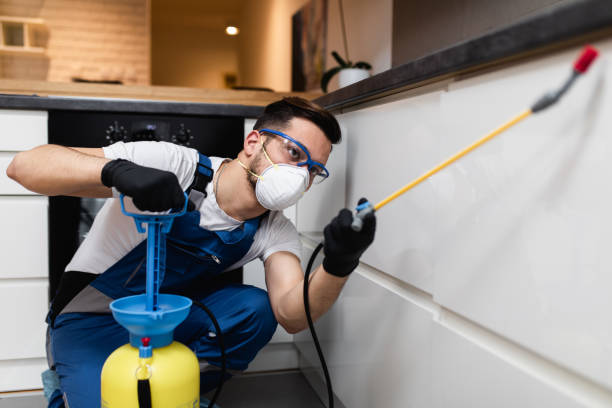 Best Exterminator Services  in Hermantown, MN