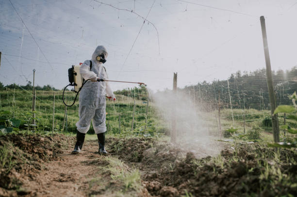 Best Ant Control Services  in Hermantown, MN