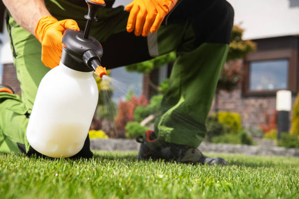Best Mosquito Control Services  in Hermantown, MN