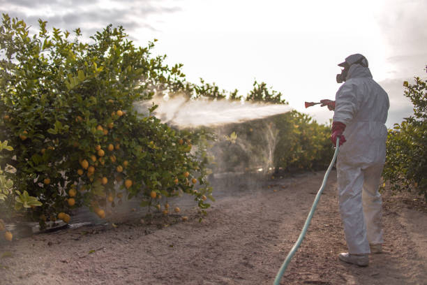Best Pest Prevention Services  in Hermantown, MN