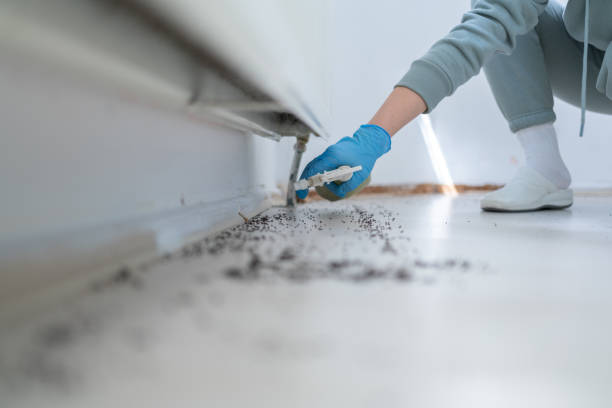 Best Best Pest Control Companies  in Hermantown, MN
